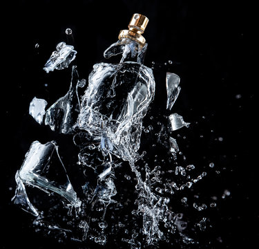 Glass bottle shattered by frozen water - Stock Image - A350/0253 - Science  Photo Library