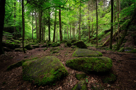 Moosbach 3