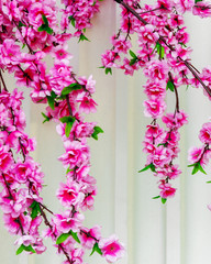 Branches with pink sakura flowers and green leaves artificial on a white marble background. Instagram vertical frame