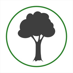 vector image of a tree on white isolate