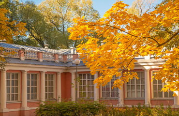 Golden autumn in a city park