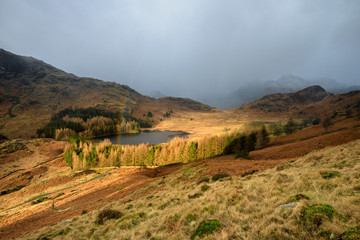 Lake District Mountain Landscape With Early Morning Light And Rain Shower Clouds. United Kingdom.