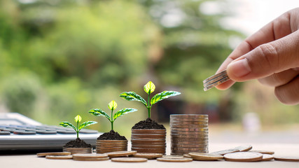 Hands are holding coins, including small tree planting on coins and natural light, financial accounting concepts, and saving money.