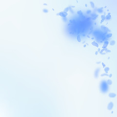 Fototapeta na wymiar Dark blue flower petals falling down. Energetic ro