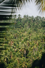 Naklejka premium Bali, Indonesia