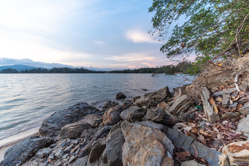 Fototapeta na wymiar full of rocks on the beach with long distance Mangrove tree forest and big mountain , smooth blue sea and blue sky with white clouds background in the evening