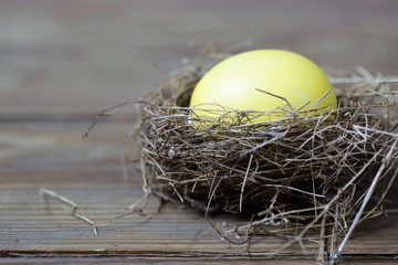 nest, egg, easter