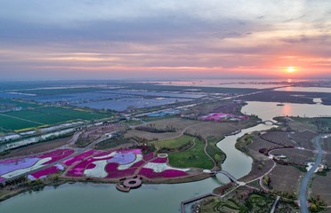 Zhiyinghua sea like colorful carpet, Baima Lake Tourist Resort, Huai'an City, Jiangsu Province, China