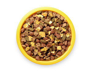 assorted pet food plate isolated