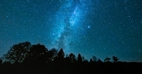 Starry night above the forest showing the milky way - Powered by Adobe