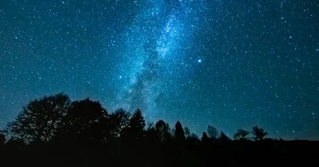 Fototapeten Sternennacht über dem Wald, der die Milchstraße zeigt © Érik Glez.