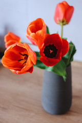 Bouquet of tulips in vase on wooden table