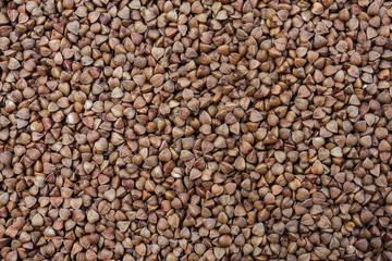 buckwheat. raw buckwheat. dry buckwheat background. buckwheat texture