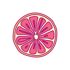 vector hand drawn cute fruit clip art. grapefruit