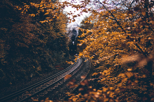 Dampflokomotive f&auml;hrt durch den dunklen herbstlichen Wald