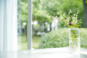Beautiful bouquet in vase decorated near window, green yard background