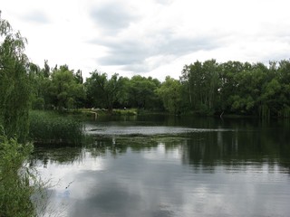 Fototapeta premium Staw