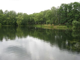 Fototapeta na wymiar Pond