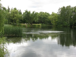 Obraz na płótnie Canvas Pond
