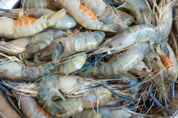 Fresh river prawn grilled on large dishes Local food. Cooking at home. selective focus. Big shrimps.