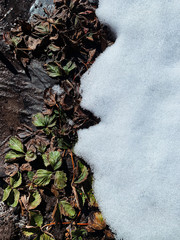 Countryside dug up the ground with the remnants of melted snow in the village in early winter, spring, a puddle, a well, a gazebo, pavers, sunny day outdoor. Russia