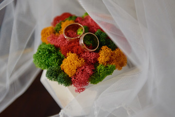 Two golden wedding rings on colorful reindeer mossy in pot, copy space, soft focuse. Wedding card...