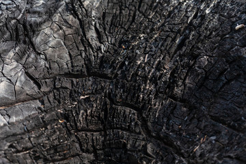 Coal texture close up. Macro burned wood surface. Black textured charcoal background.