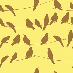 Birds pattern