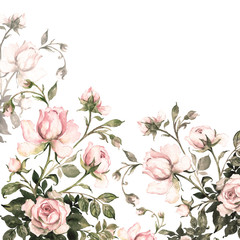 Watercolor background branch delicate roses