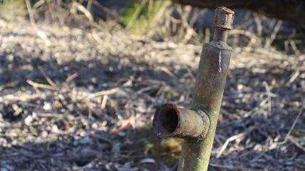 rustic faucetin in belarusian forest