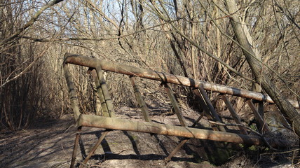 abandoned rustic ladder in forest