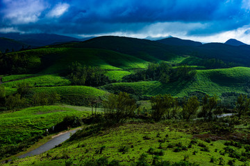 Fototapeta na wymiar mountain landscapes ,vagamon,Kerala