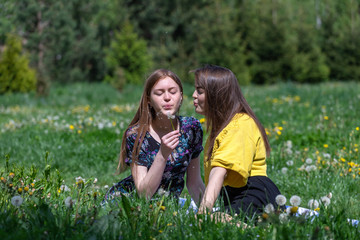 Fototapeta premium Young girls have fun time in the park. Girl blowing on fluffy dandelion flower. Happy sisters are enjoying a warm spring day