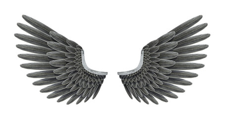 Black angel wing.
