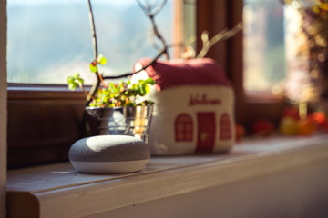 voice controlled smart speaker in living room