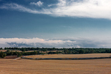 Panoramic view of the Apulian countryside after the wheat harvest.