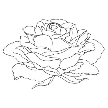 Vector Rose Flower Clip Art Coloring Book Page