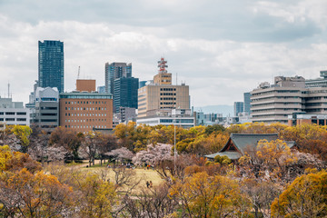 Fototapeta premium Osaka castle park and cityscape at spring in Japan
