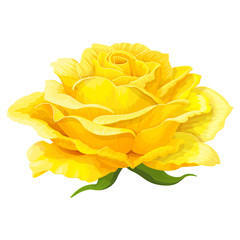 vector rose flower clip art on white isolated background