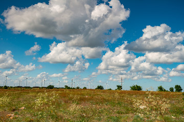 Fototapeta premium a field with grass and windmills from our trip