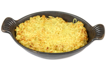 gratin de pâtes (coquillettes) sur un fond blanc