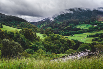 Fototapeta na wymiar Paisaje de Asturias en el Norte de España. Campos verdes y ganaderia.