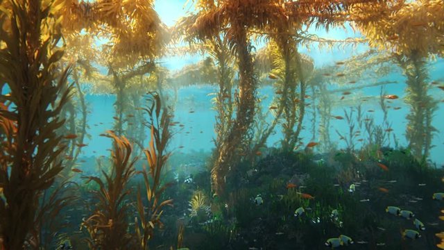 kelp forest hd