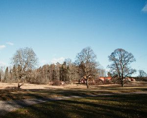 Swedish traditional red houses landscape