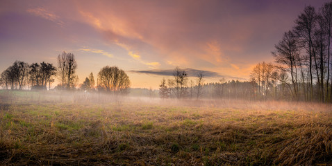 Obraz na płótnie Canvas sunrise in the meadow