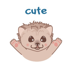 kawaii doodle hedgehog, cute mammal animal, lovely cartoon drawing pet, editable vector illustration for kids decoration, poster, t shirt print, card