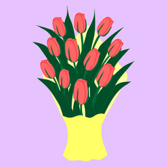 bouquet of red tulip for the holiday of spring