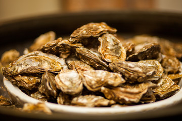 Healthy sea food, fresh Oysters gourmet close-up on white plate served in a restaurant