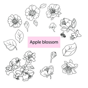 810 Best Apple Blossom Logo Images Stock Photos Vectors Adobe Stock