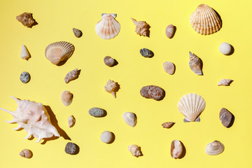 Seashells, starfish and sea rock collection on yellow background. Natural seashore textured surface, top view, copy space. Minimal simple summer time concept.
